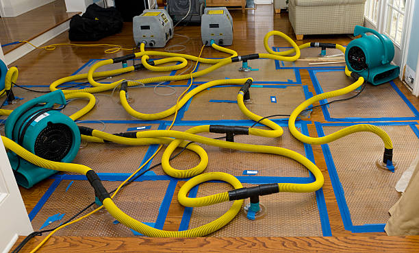 Professional Water Damage Repair technician working in Cleveland, WI